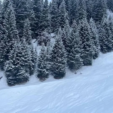 Lovely In Bei Sedrun Διαμέρισμα *