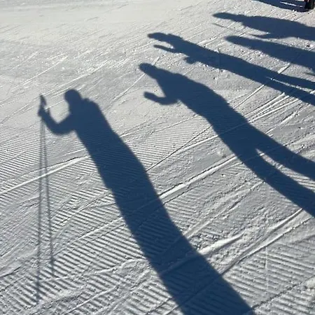 Διαμέρισμα Lovely In Bei Sedrun Rueras