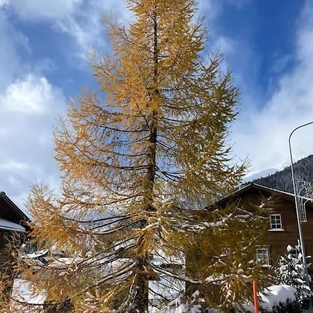 Lovely In Bei Sedrun *