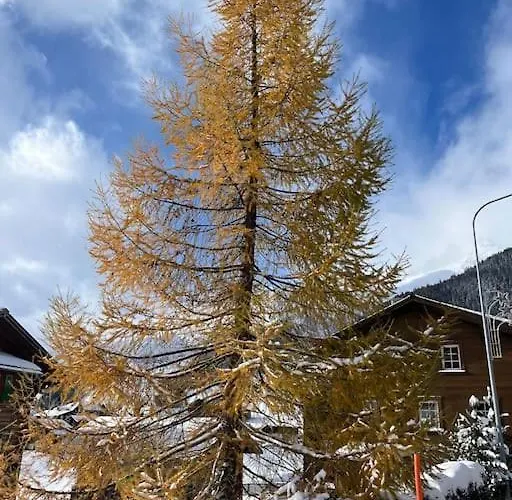 Lovely In Bei Sedrun *