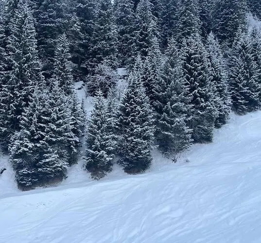 Lovely In Bei Sedrun Appartamento *